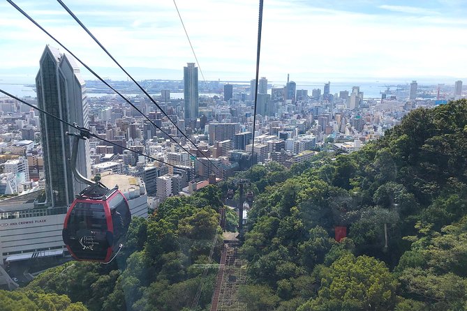 1-Day Kobe Highlights Tour including Sake Tasting - Price and Value: What $171.31 Really Covers