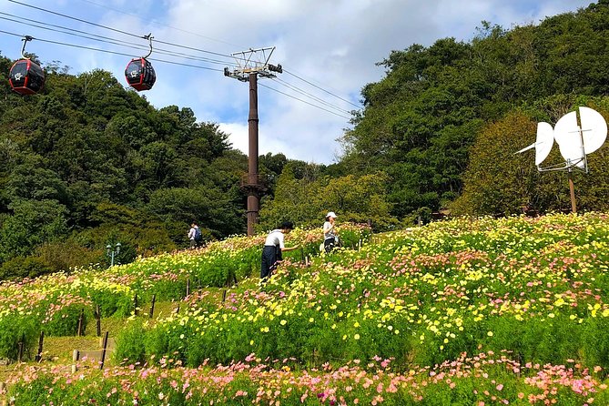 1-Day Kobe Highlights Tour including Sake Tasting - Hakutsuru Sake Brewery Museum and the Tasting Portion