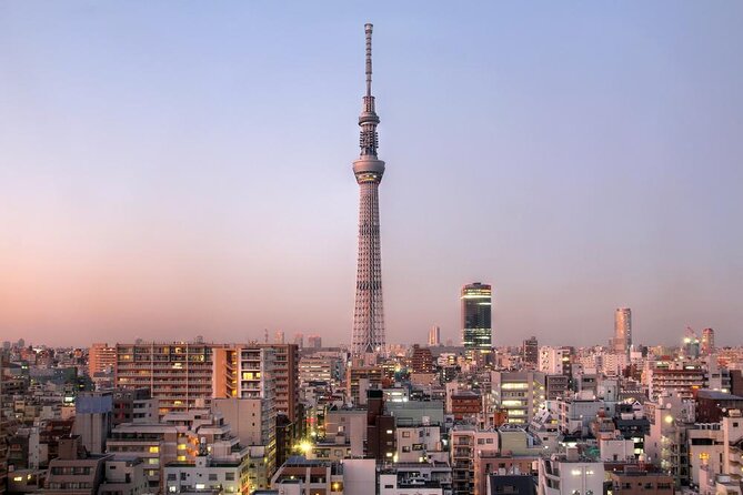 1 Day Private Charter Tokyo Tour (Green Number Plates) - Key Highlights That Make This Charter Worth It