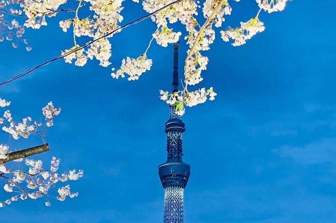 1 Day Private Charter Tokyo Tour (Green Number Plates) - The Real Value: A Private Day That Saves Your Legs