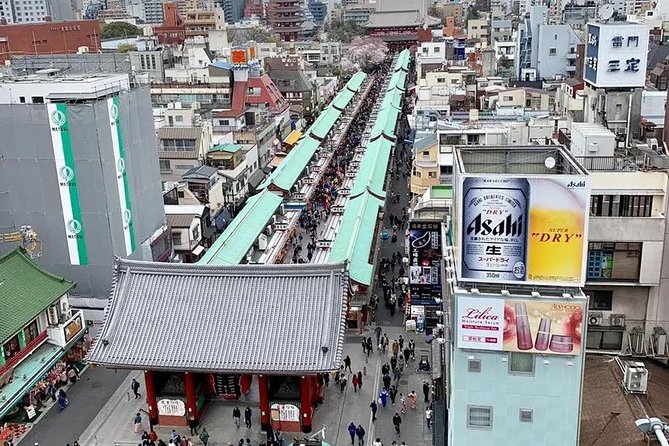 1 Day Private Charter Tokyo Tour (Green Number Plates) - Pickup and How the Day Starts Smooth