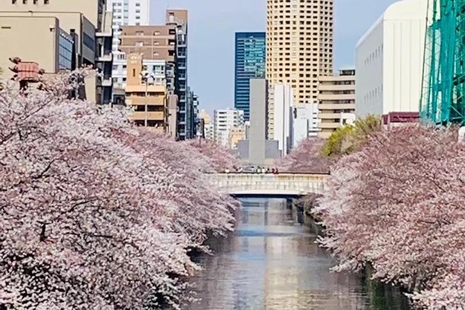 1 Day Private Charter Tokyo Tour (Green Number Plates) - Stop 2: Tokyo Skytree Area, with Entry on You