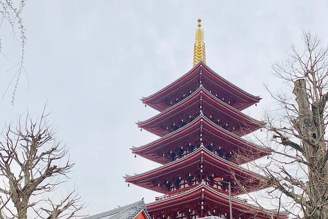 1 Day Private Charter Tokyo Tour (Green Number Plates) - Quick Imperial Palace Outside Walk: A Small Stop With Big Symbol