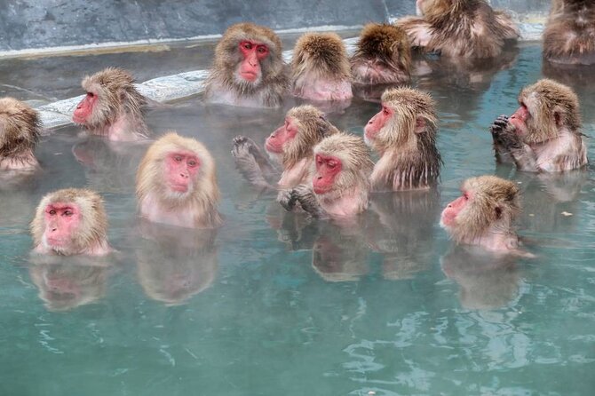 1-Day Private Snow Monkey ZenkoJi Temple & SakeTasting NaganoTour - Monzen Terrace Enya: the lunch break that keeps the day efficient