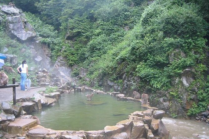 1-Day Private Snow Monkey ZenkoJi Temple & SakeTasting NaganoTour - Lunch, walking, and optional tickets: plan for the extras