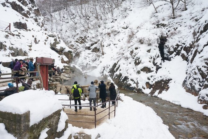 1-Day Snow Monkeys, Zenko-ji Temple & Sake in Nagano - Monkey Park Rules That Keep Everyone Safer (and the Experience Better)