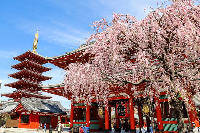 1-Day Tokyo Bus Tour - Key Things That Make This Tokyo Bus Tour Worth Your Time