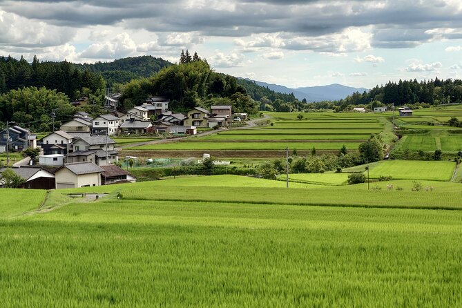 1-Day Tour from Matsumoto: Walk the Nakasendo Trail - Who should book this Nakasendo walk