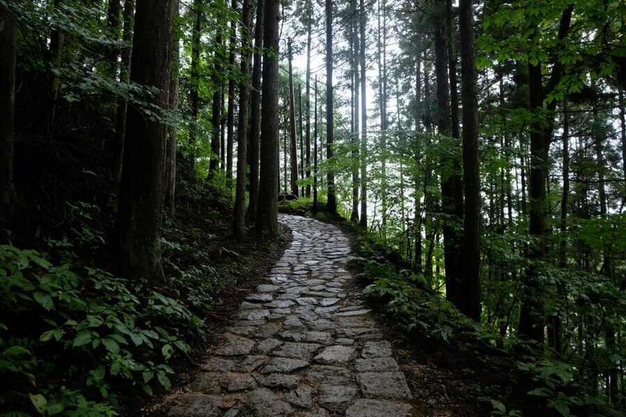 1-Day Tour from Nagoya: Hiking the Historic Nakasendo Trail - Key things I’d bookmark before you go