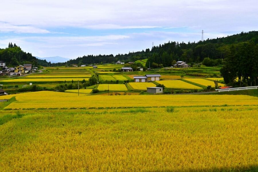 1-Day Tour from Nagoya: Hiking the Historic Nakasendo Trail - The 8 km Nakasendo hike to Magome: views, streams, and careful footing