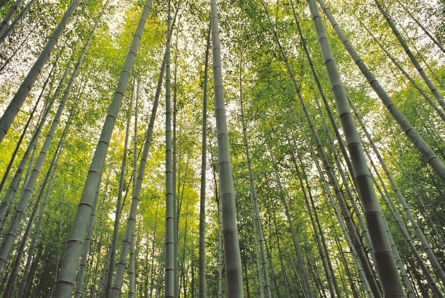 1-Day Tour from Nagoya: Hiking the Historic Nakasendo Trail - Magome-juku after the hike: snack, shops, and valley views