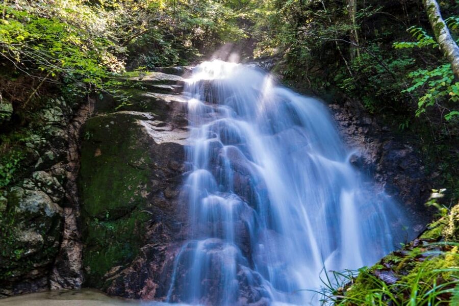1-Day Tour from Nagoya: Hiking the Historic Nakasendo Trail - Guides and the Edo-era story: how it clicks on the ground
