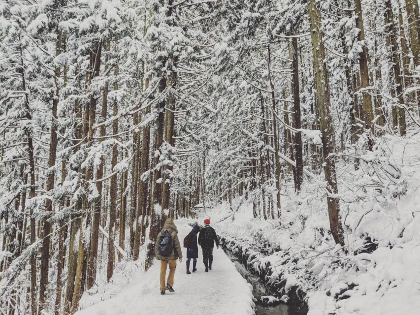 1 Day Tour: Snow Monkeys & Snow Fun in Shiga Kogen - Who should book this Shiga Kogen plus Snow Monkey day