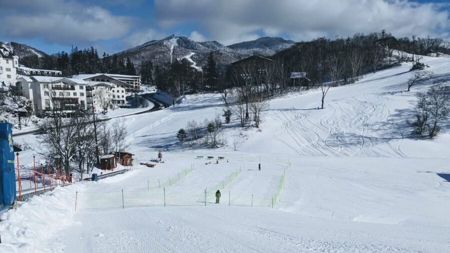 1 Day Tour: Snow Monkeys & Snow Fun in Shiga Kogen - The drive to Jigokudani and the 1.6 km walk