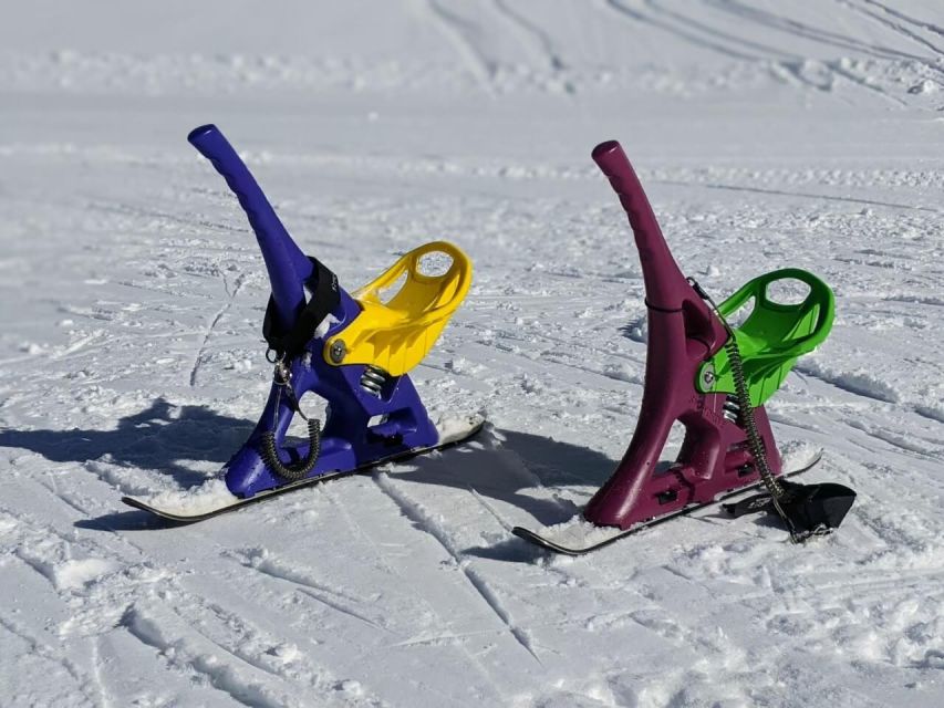 1 Day Tour: Snow Monkeys & Snow Fun in Shiga Kogen - Winter safety and gear that actually matters