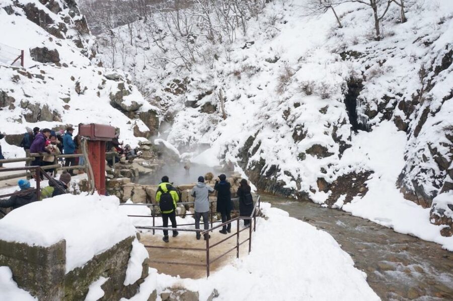 1 Day Tour: Snow Monkeys & Snow Fun in Shiga Kogen - Price and value: is $165 really fair?