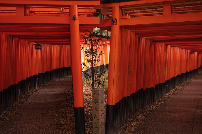 10 Must-see Spots in Kyoto One Day Private Tour (up to 7 people) - Kiyomizu-dera and the Hill Streets of Sannenzaka and Ninenzaka