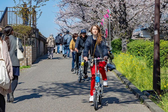 2.5 Hour-Guided Cycle Tour in the Central Tokyo - Why This Central Tokyo Bike Loop Works So Well