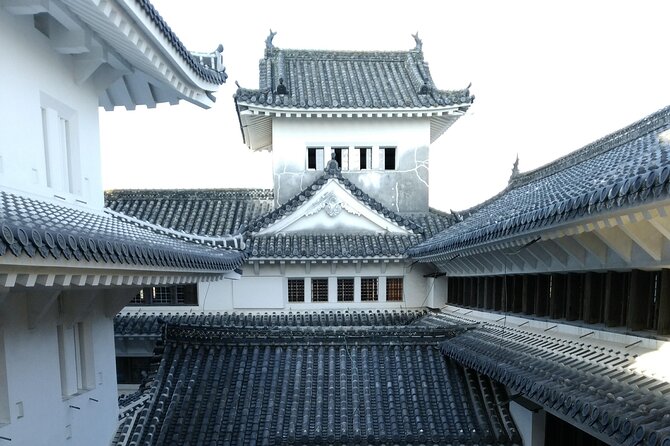 2.5 Hour Private History and Culture Tour in Himeji Castle - Skip the Crowds, Keep the Pace Yours