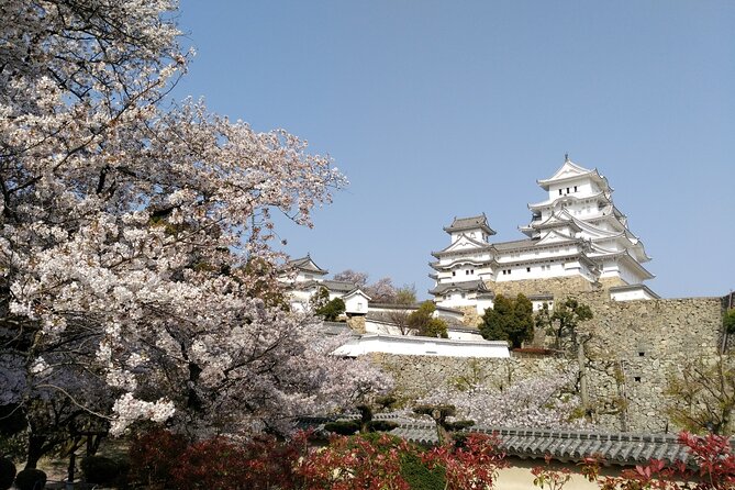 2.5 Hour Private History and Culture Tour in Himeji Castle - Who This Tour Fits Best (And Who Might Skip It)