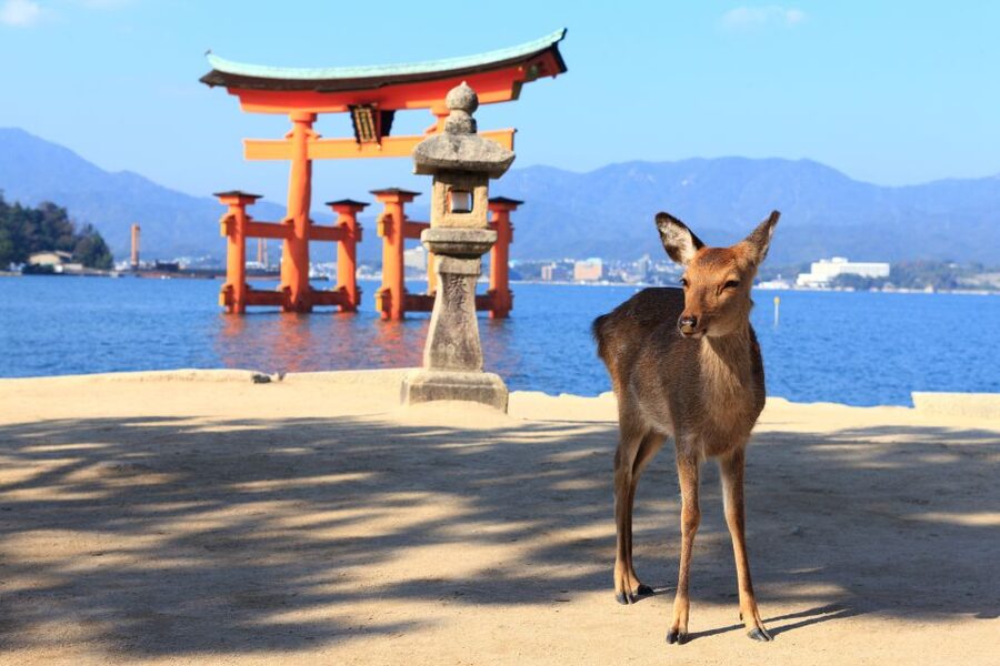 3 Departures: Hiroshima & Miyajima Trip with Indian Lunch - Ferry to Miyajima: the mood shift on open water
