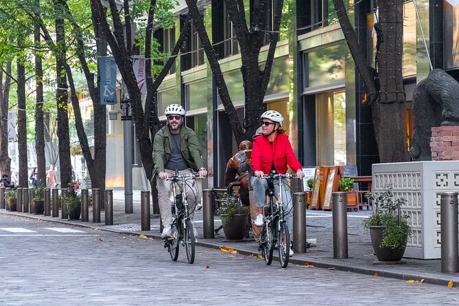 3-Hour Tokyo Private E-Bike Tour Starting from Your Hotel - Why This Private 3-Hour E-Bike Plan Works