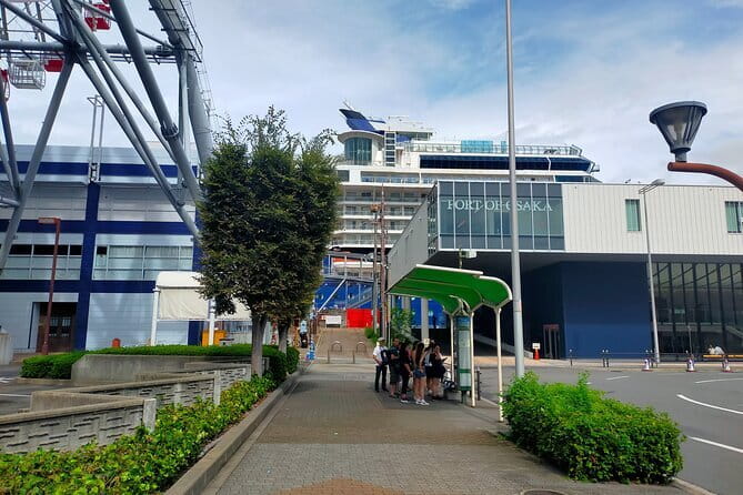 4/5/6 Hours Private Osaka Tour Designed for Cruise Passengers - Key highlights for cruise-day Osaka