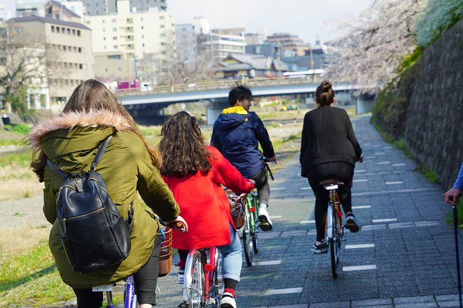 4.5-Hour Kyoto Bike Tour with Lunch and UNESCO Zen Temples - Passing Heian Shrine and Getting a Sense of Kyoto’s Layers
