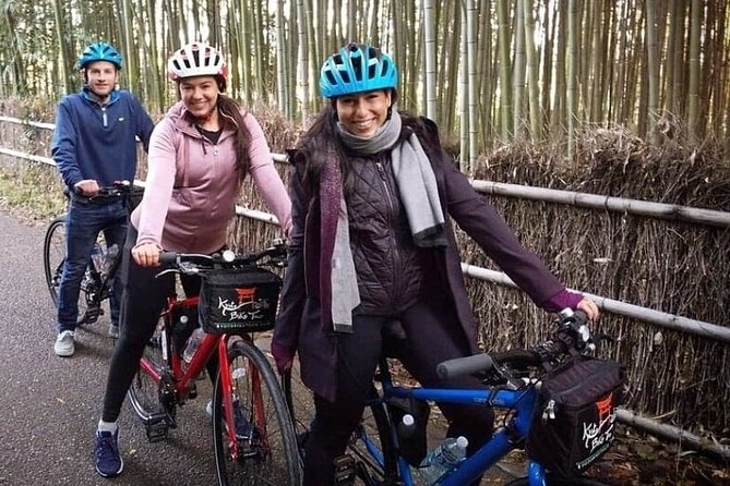5 Top Highlights of Kyoto Full Day Bike Tour (E-bike option) - Traditional bike vs e-bike: choosing the right effort level