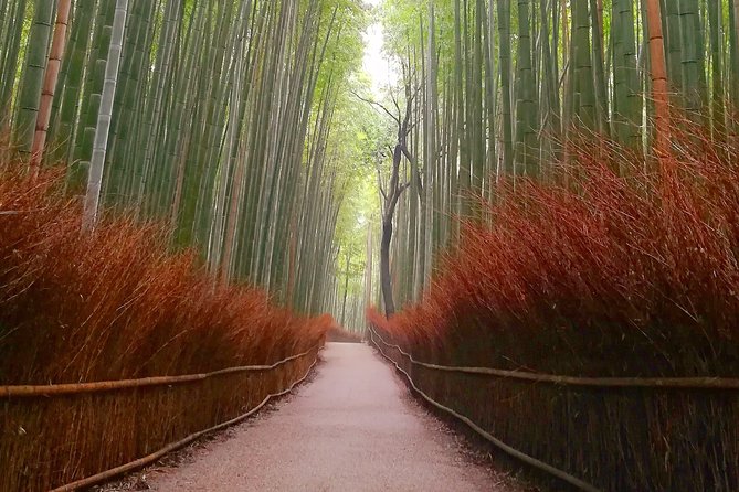 Afternoon Kyoto Bike Tour: Bamboo Forest, Monkeys & Hidden Spots - Tenryu-ji Temple Sogenchi Teien: the garden stop that slows you down