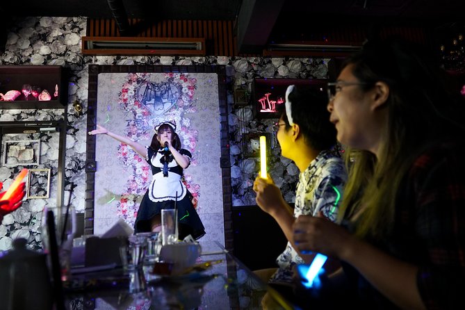 Akihabara Anime & Game Adventure Walking Tour (Group or Private) - A Small Group Lets You Handle Akihabara’s Overwhelm