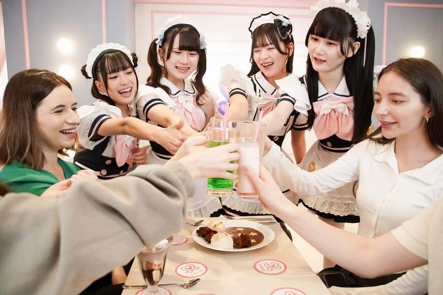 Akihabara: Anime & Gaming Adventure Tour (Group or Private) - How the guide can change your whole day