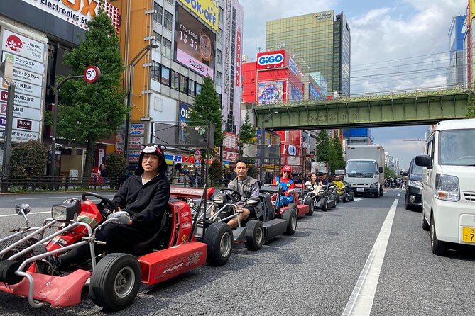 Akihabara: Go-Kart Experience with Local Guide in Tokyo - The paperwork and height limits you must get right