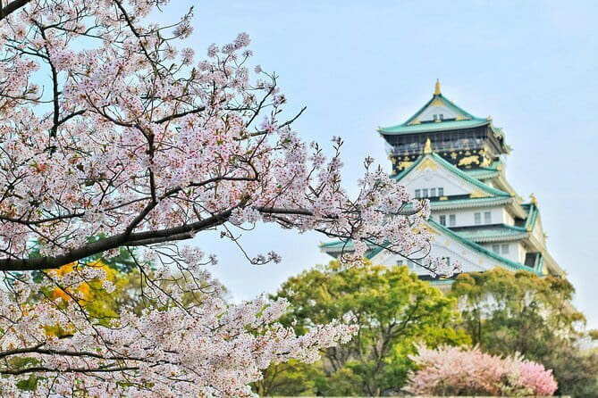 Amanohashidate & Ine Boathouse Full-Day Tour from Kyoto or Osaka - Stop 3: Ine Fishing Village, funaya houses, and controlling your seaside time