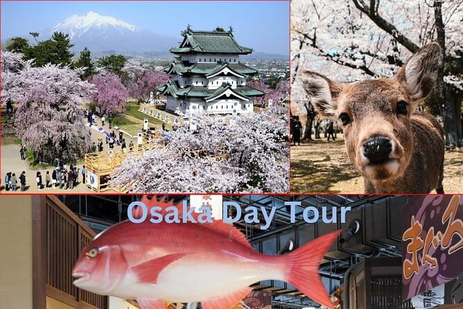 Amanohashidate & Ine Boathouse Full-Day Tour from Kyoto or Osaka - What’s included, what costs extra, and the money checklist