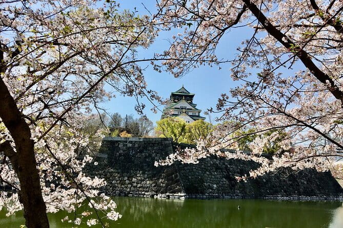 Amanohashidate & Ine Funaya Sightseeing Full Day Trip from Kyoto - Ine Bay sightseeing boat: seagulls, deck time, and what to wear