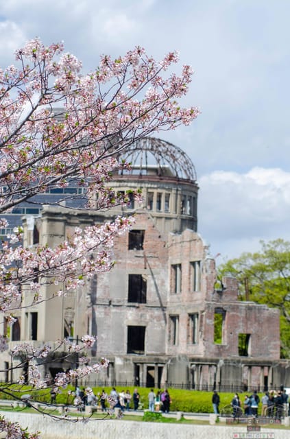 Amazing Hiroshima: Private City Tour with a Local Guide - Key highlights I’d plan around