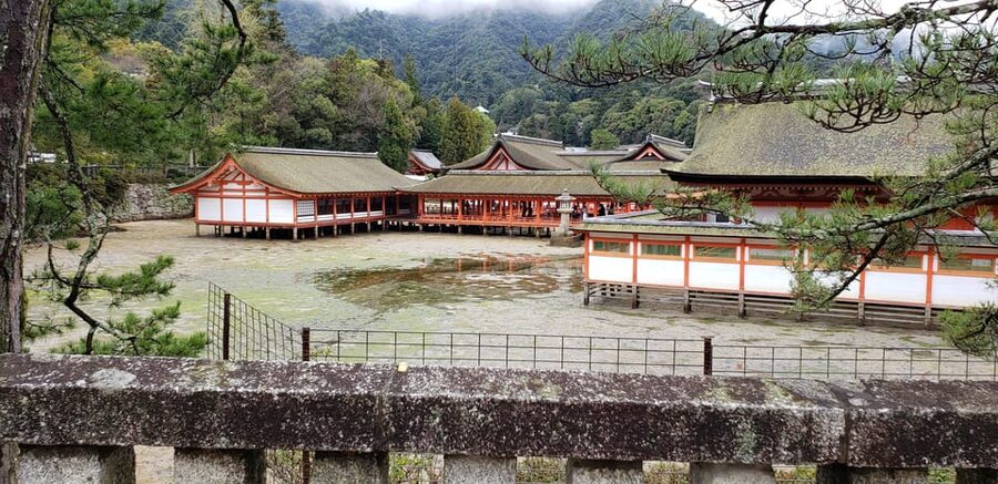 Amazing Hiroshima: Private City Tour with a Local Guide - Hiroshima Castle: reconstruction, samurai visuals, and a place to reframe