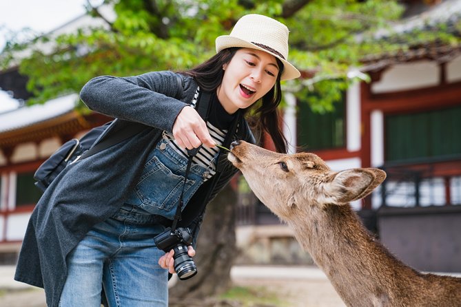 Ancient Capital Tour: Kyoto and Nara Highlights from Kyoto/Osaka - Key highlights in plain terms