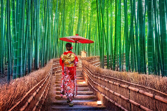Ancient Capital Tour: Kyoto and Nara Highlights from Kyoto/Osaka - Nara Park Deer and Todaiji Great Buddha: The Famous Pair, Managed Well