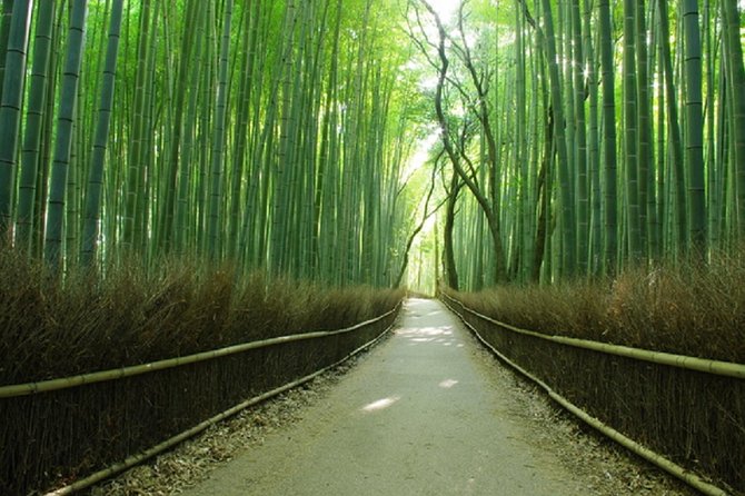 Ancient Capital Tour: Kyoto and Nara Highlights from Kyoto/Osaka - Guides, Group Size, and What Makes the Day Feel Smooth