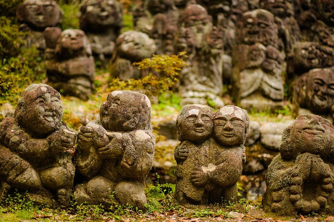 Arashiyama Bamboo Forest E-Biking Tour - Key highlights