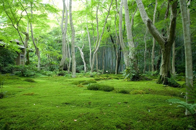 Arashiyama Bamboo Forest E-Biking Tour - Stop 2: Tōji-in Temple for moss, quiet, and a reset