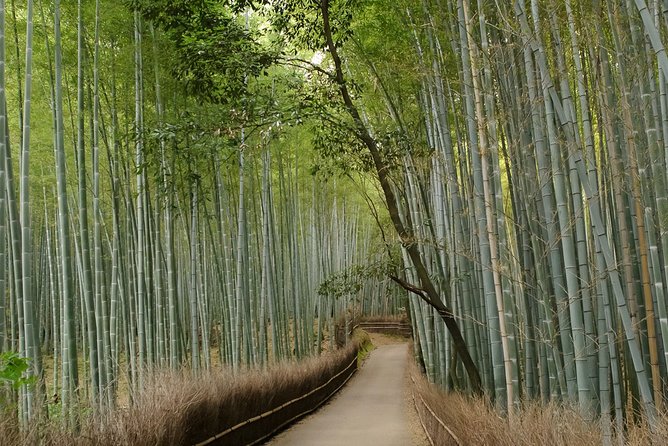 Arashiyama Bamboo Forest E-Biking Tour - Stop 3: The Bamboo Forest Trail, parked bikes, and realistic crowd timing