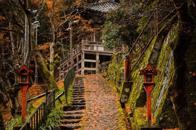 Arashiyama Bamboo Forest E-Biking Tour - How this tour balances temples, city streets, and countryside scenes