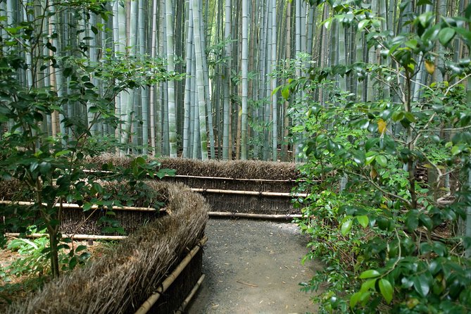 Arashiyama Bamboo Forest E-Biking Tour - What you need to know about riding 25km in real Kyoto traffic