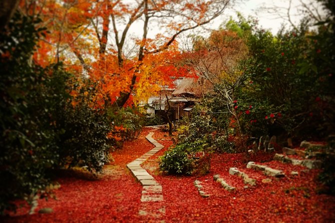 Arashiyama Bamboo Forest & Hidden Gems Bike Tour (Early Bird) - What’s included, and what you should plan for