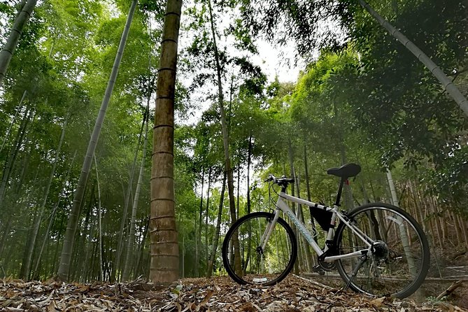 Arashiyama Bamboo Forest & Hidden Gems Bike Tour (Early Bird) - Value check: what $106.12 buys in real morning time