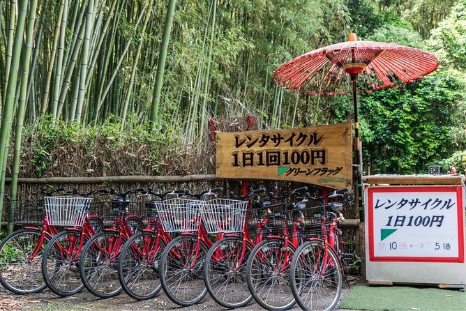 Arashiyama from Kyoto: Private & Personalized with a Local Guide - Otagi Nenbutsu-ji: the quirky stop with 1,200 rakan statues