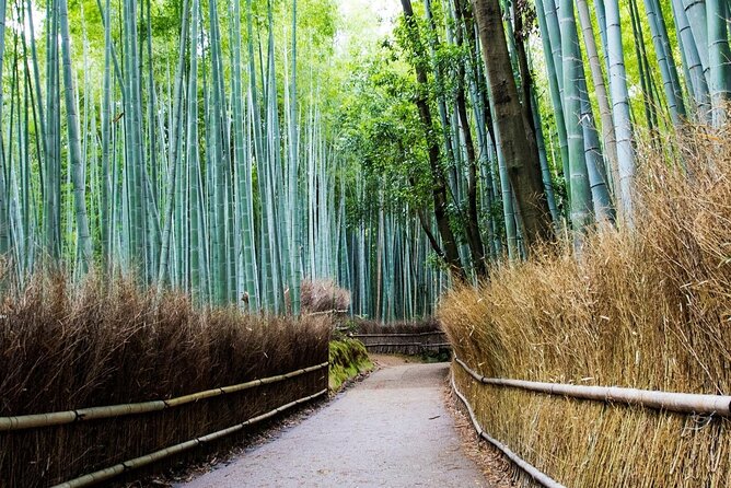 Arashiyama from Kyoto: Private & Personalized with a Local Guide - Okochi Sanso Villa: garden calm with cultural weight